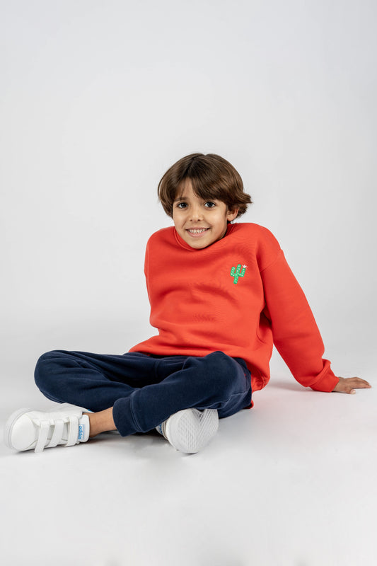 Melon sweatshirt