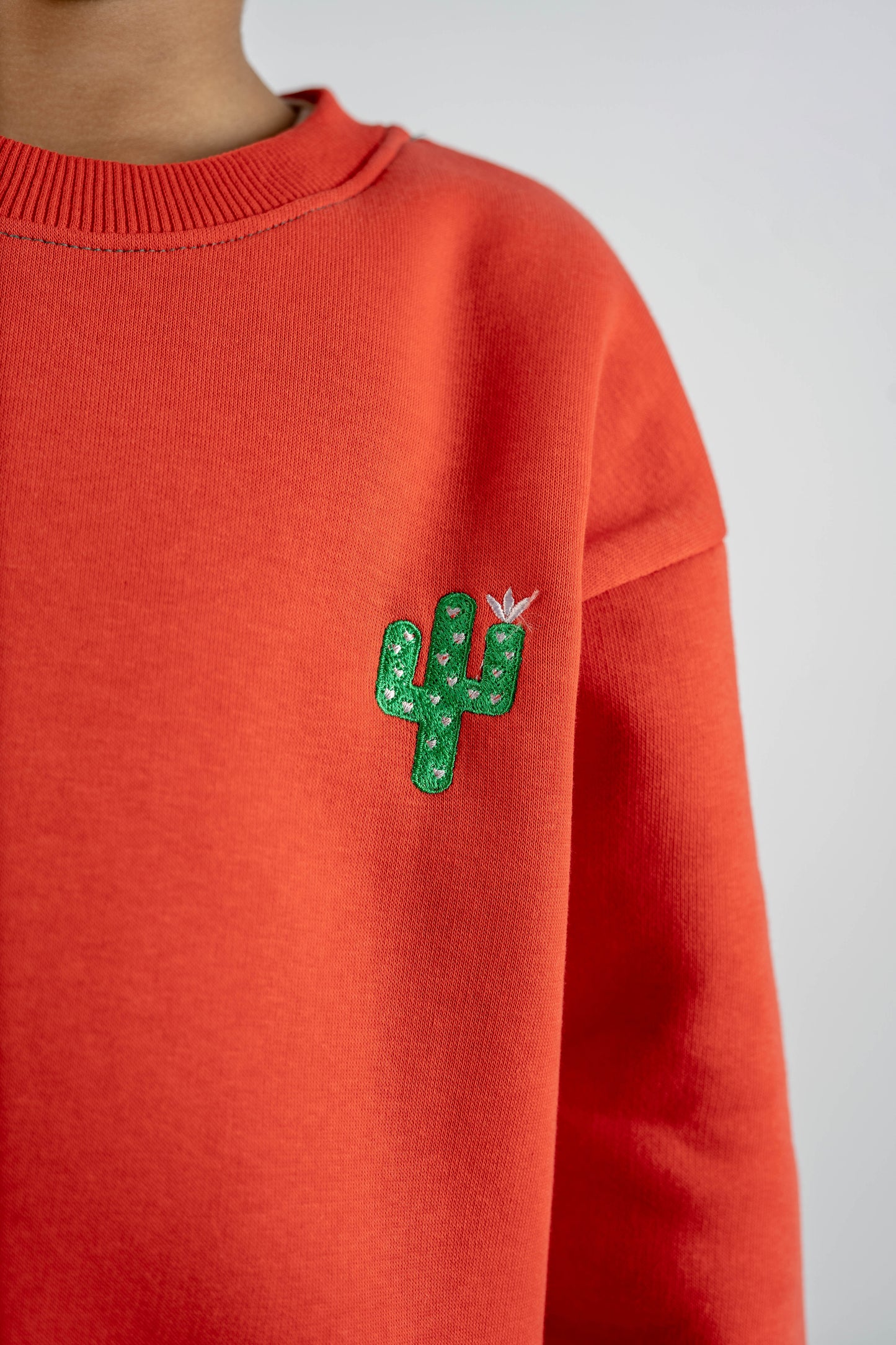 Melon sweatshirt